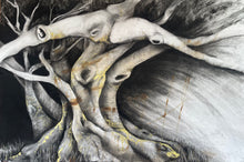 Load image into Gallery viewer, Omega Fig Tree
