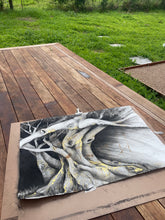 Load image into Gallery viewer, Omega Fig Tree
